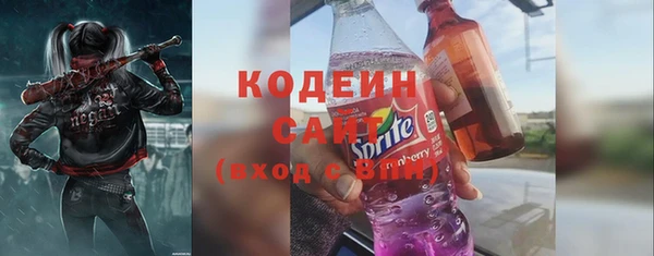 твердый Иннополис