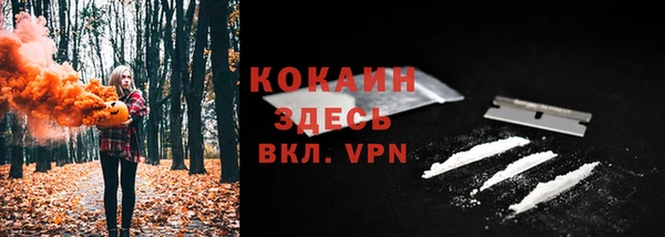 мет Каменногорск