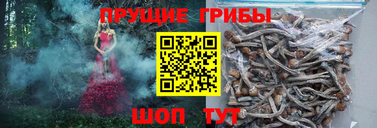 Галлюциногенные грибы мухоморы  Вход с VPN  Бийск 